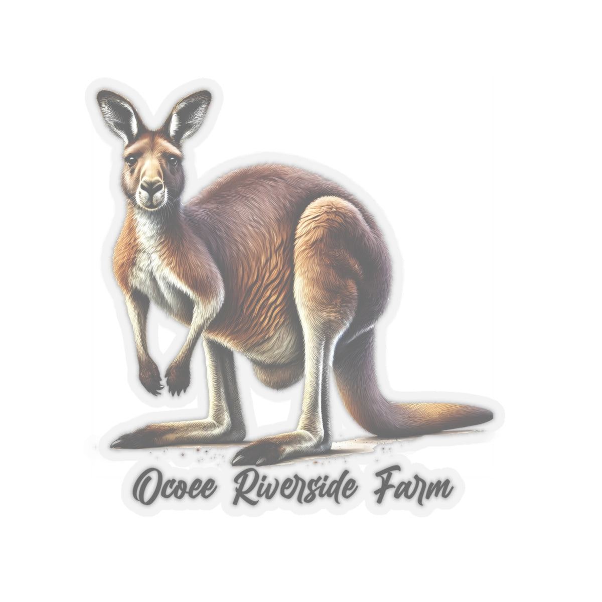 Kangaroo Stickers