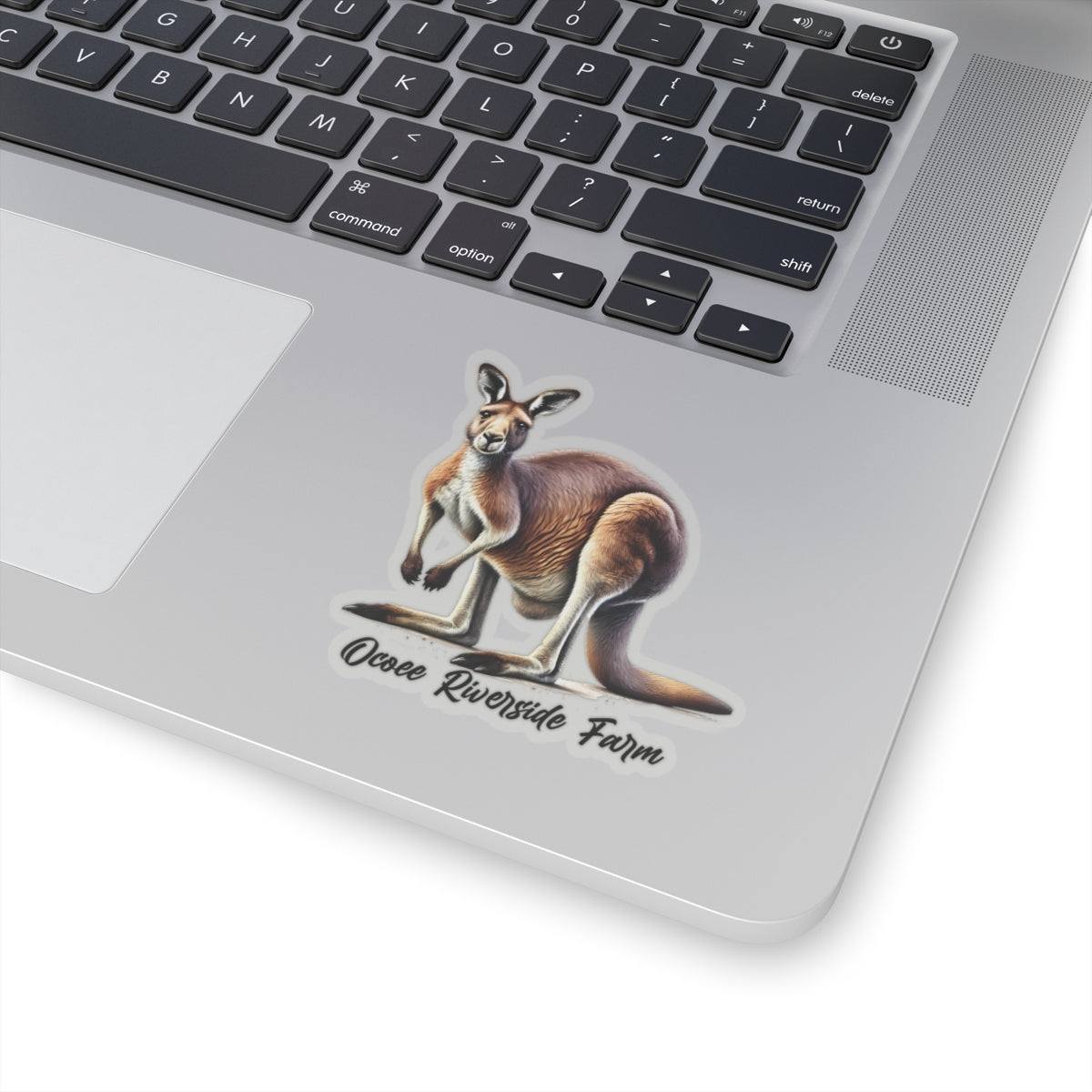 Kangaroo Stickers