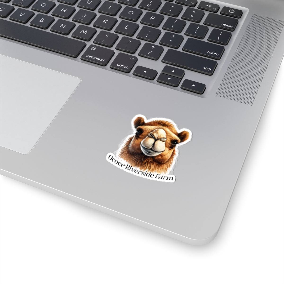 Camel Stickers