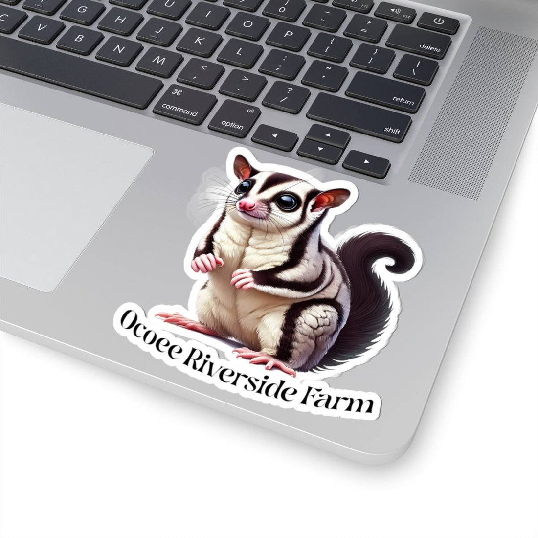 Sugar Glider Stickers
