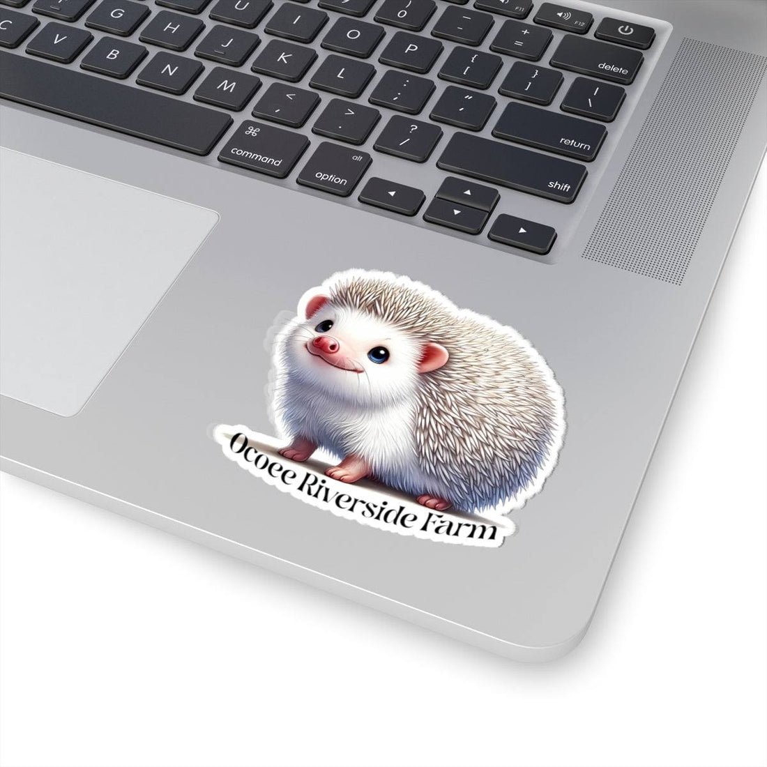 Hedgehog Stickers