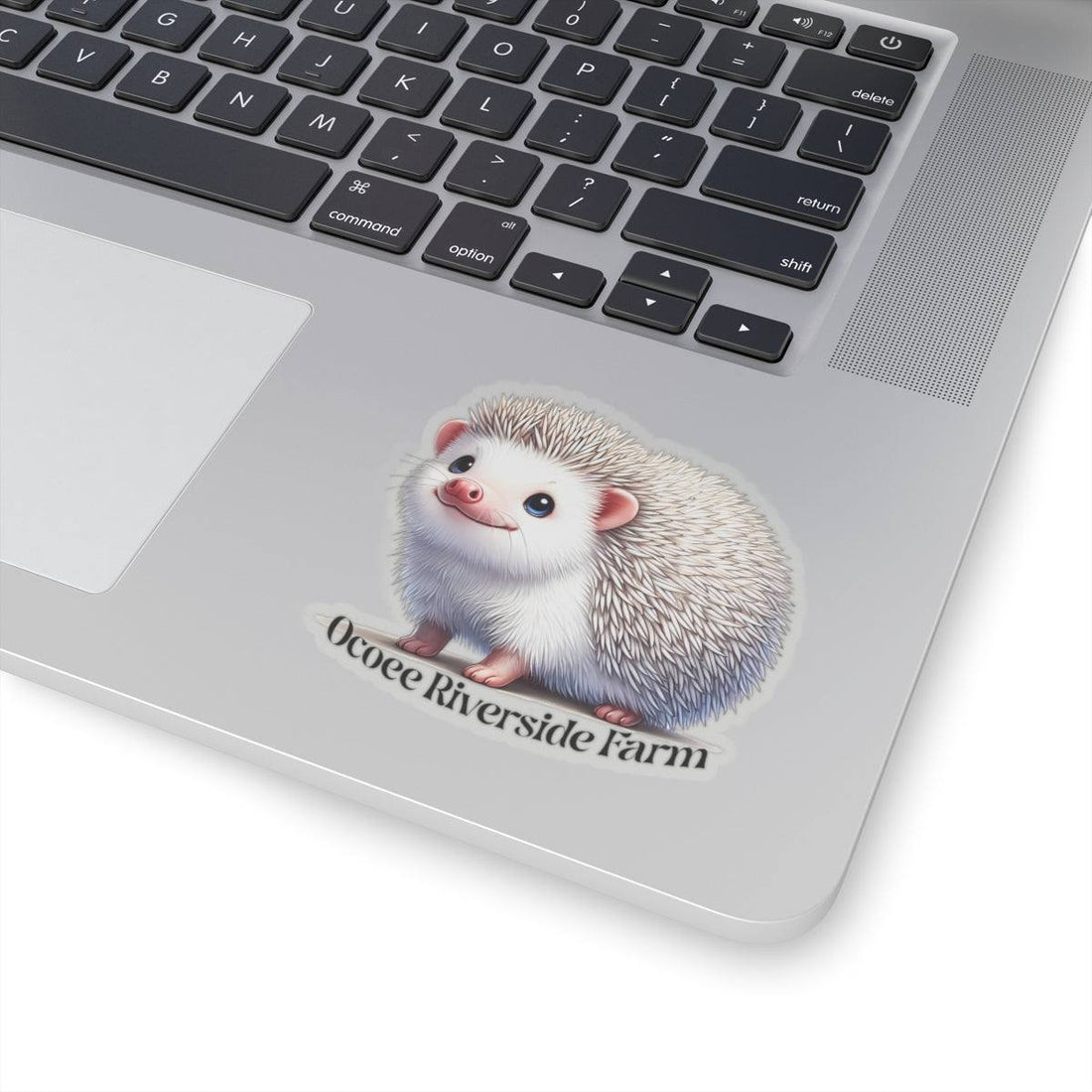 Hedgehog Stickers
