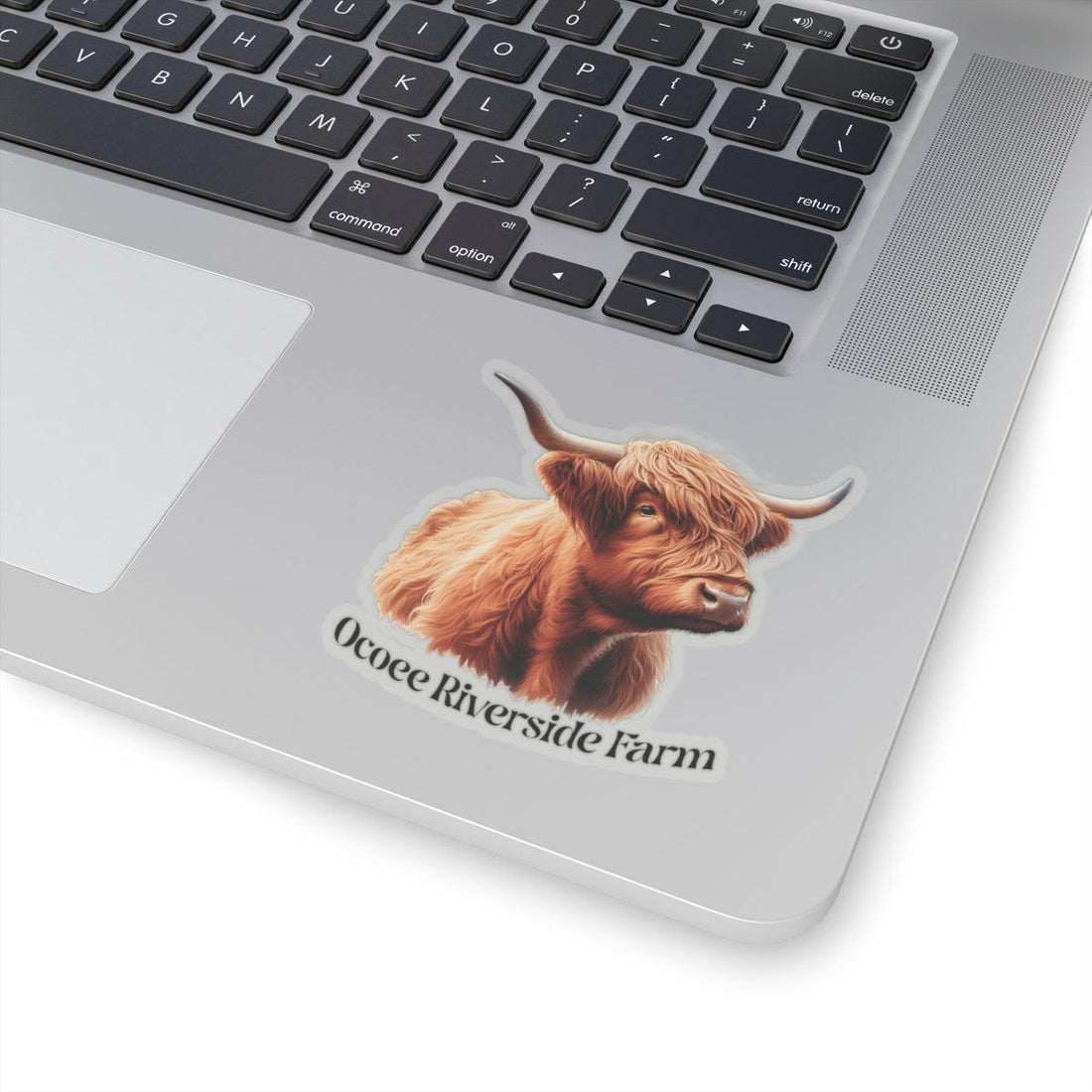 Highland Cow Stickers