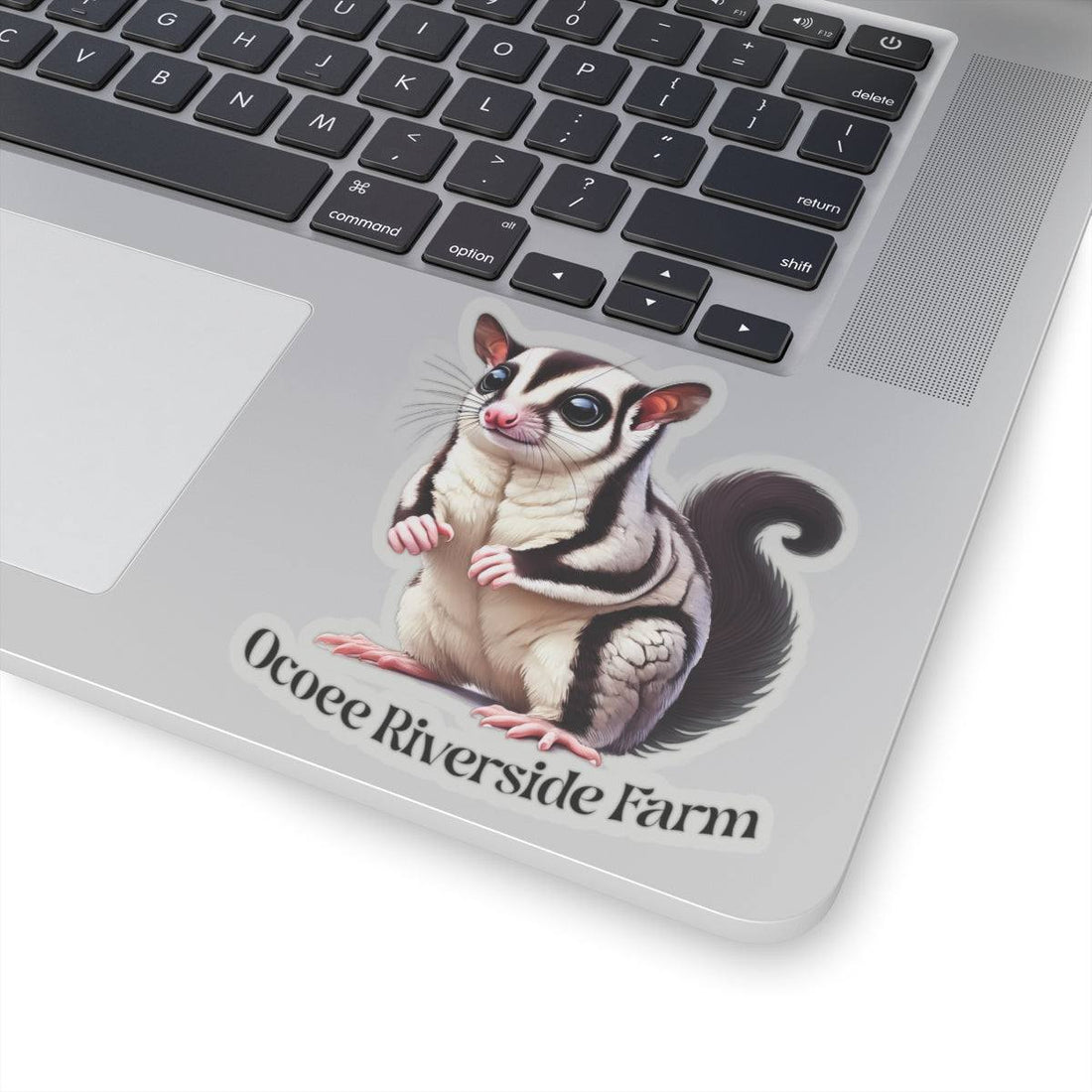 Sugar Glider Stickers