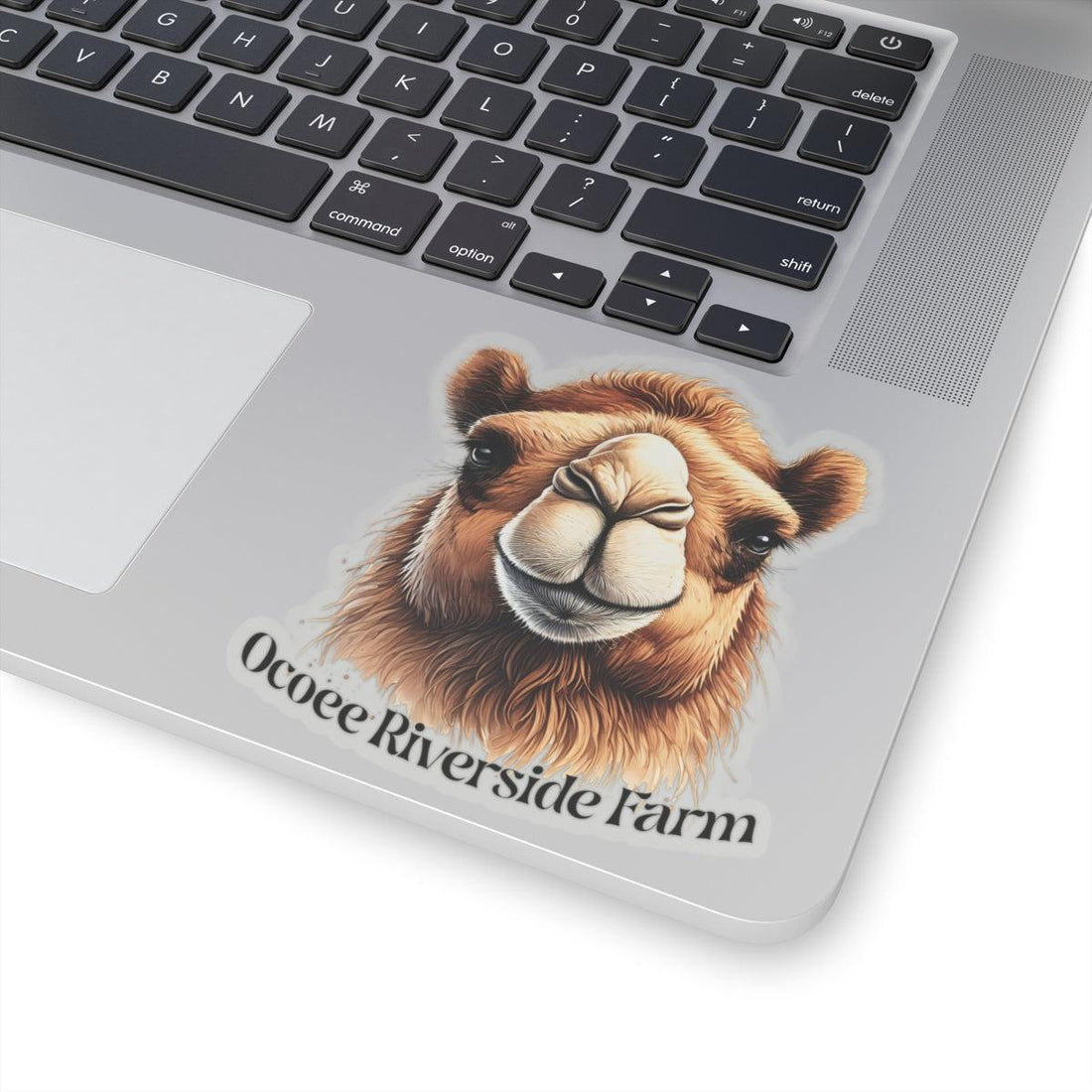 Camel Stickers