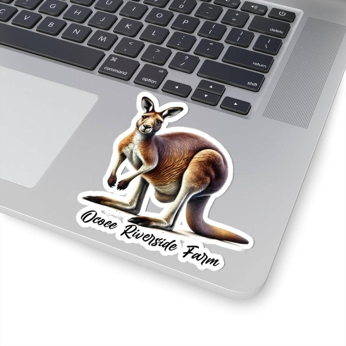 Kangaroo Stickers