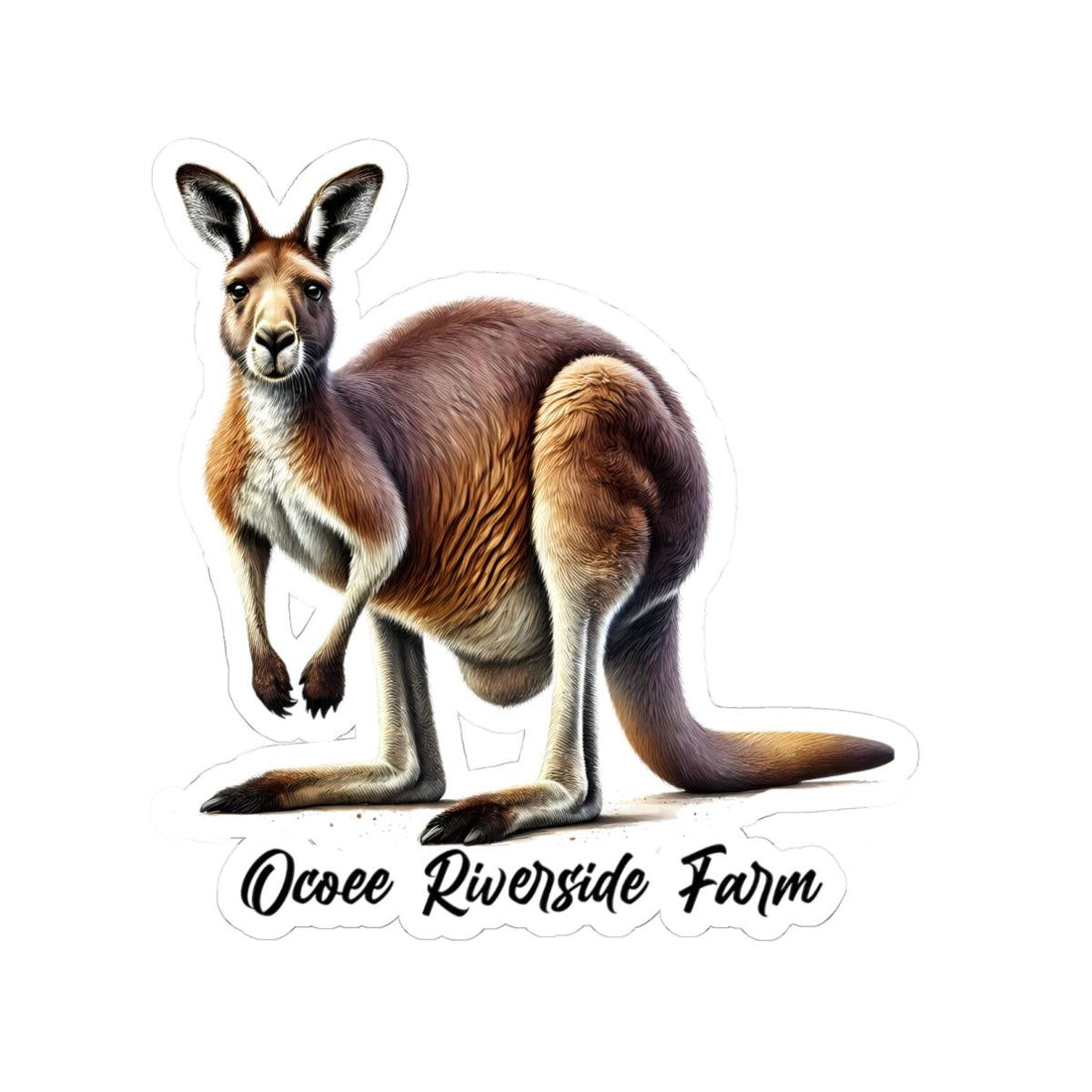Kangaroo Stickers