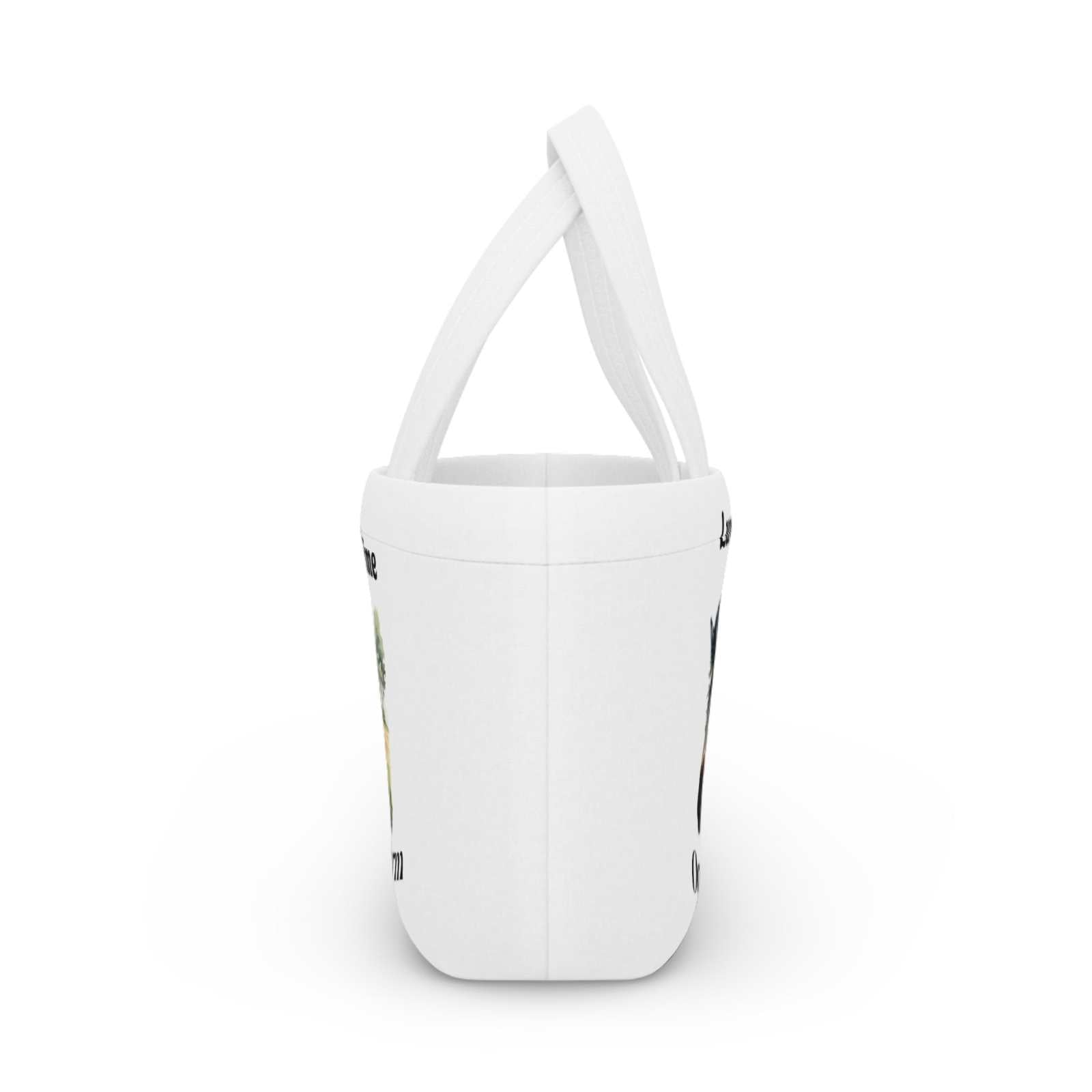 Zebra Print Lunch Bag