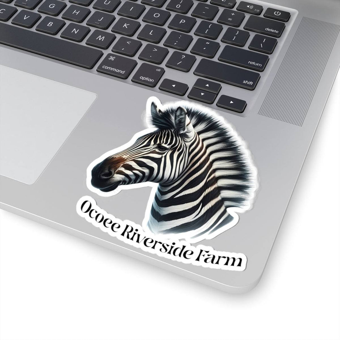 Zebra Stickers