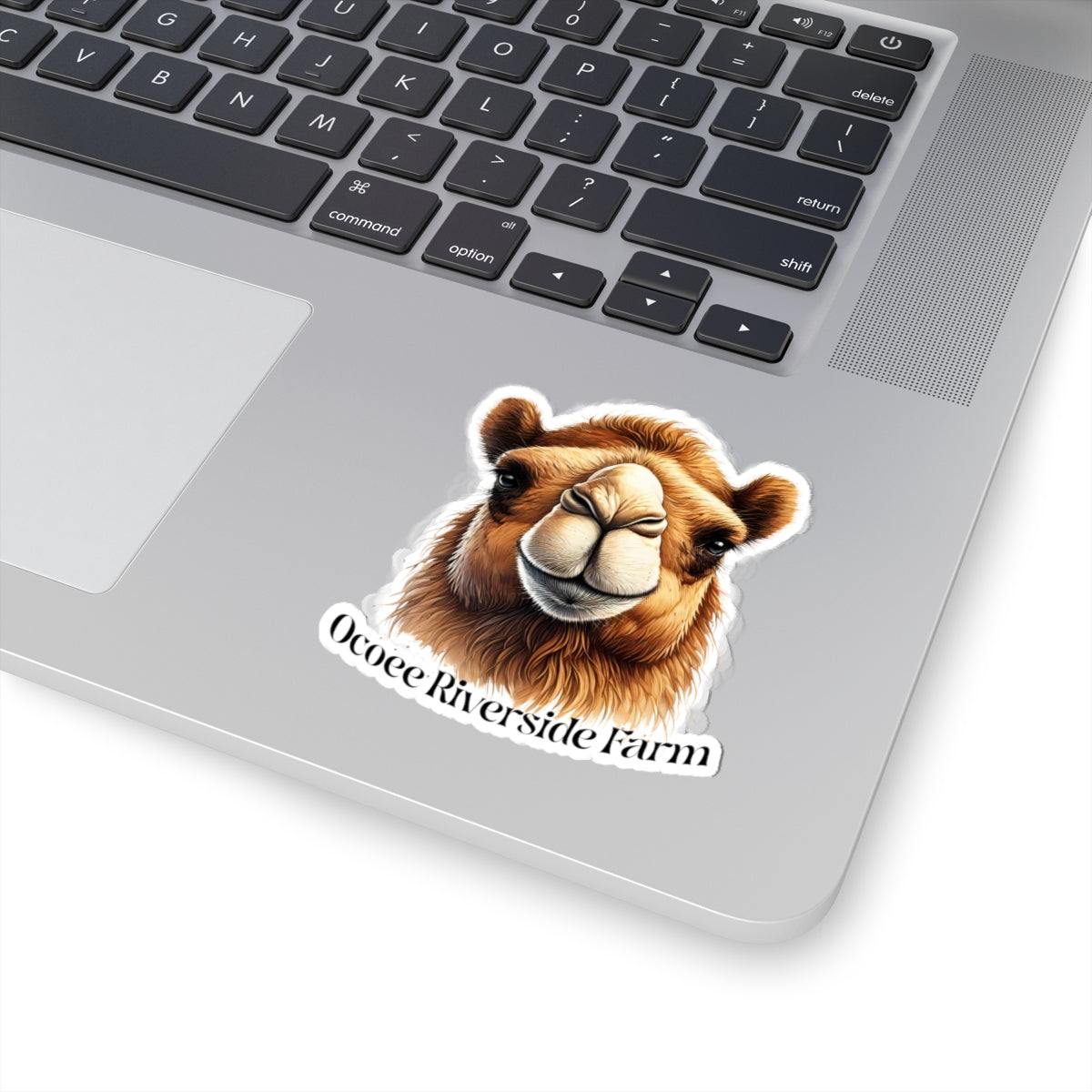 Camel Stickers