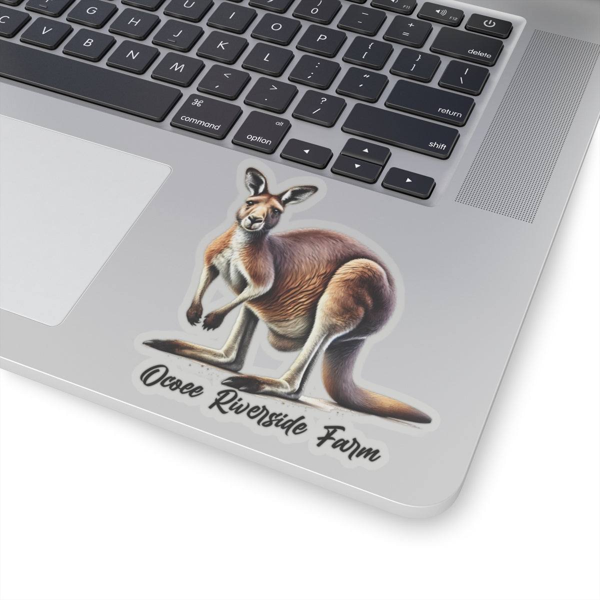 Kangaroo Stickers