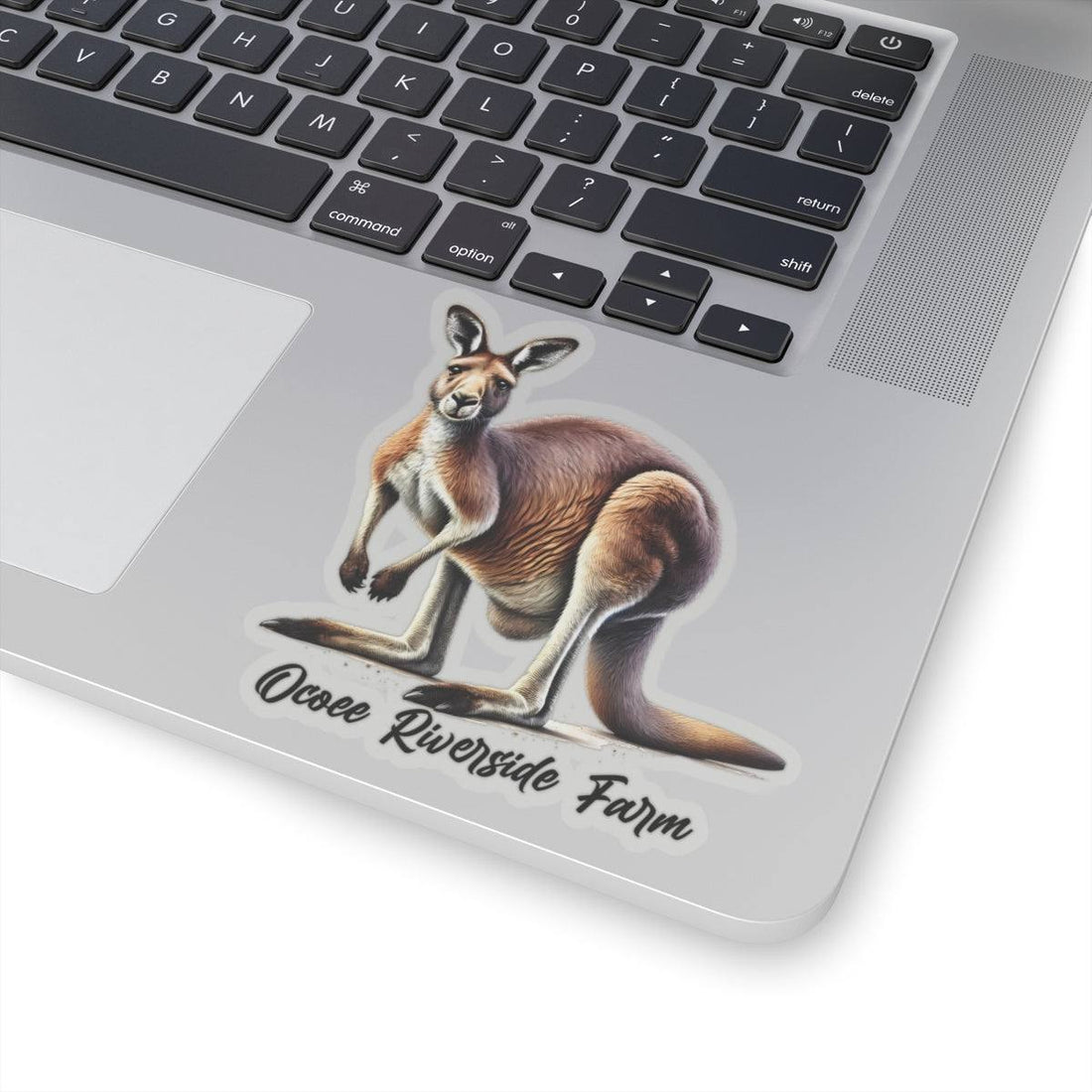 Kangaroo Stickers