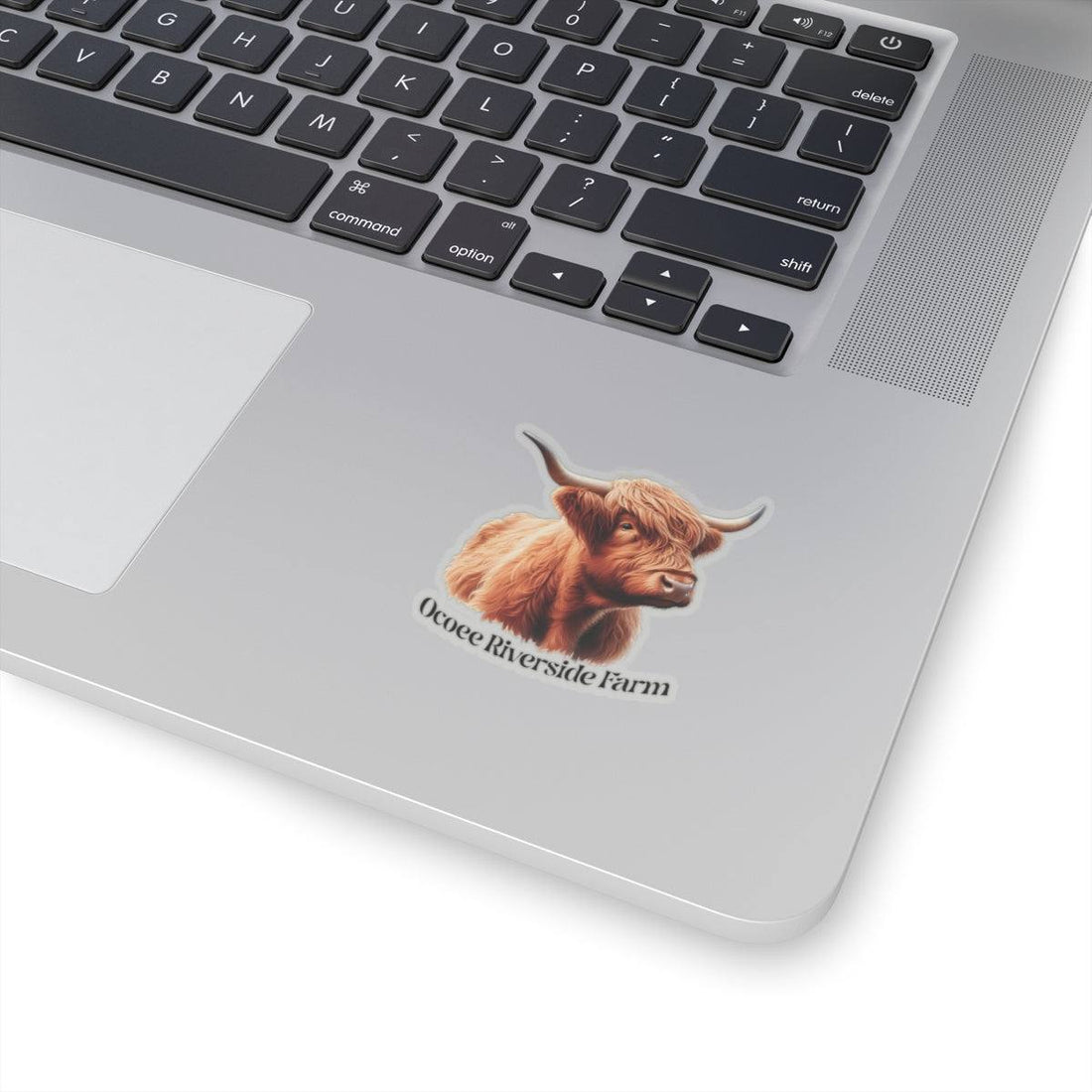 Highland Cow Stickers