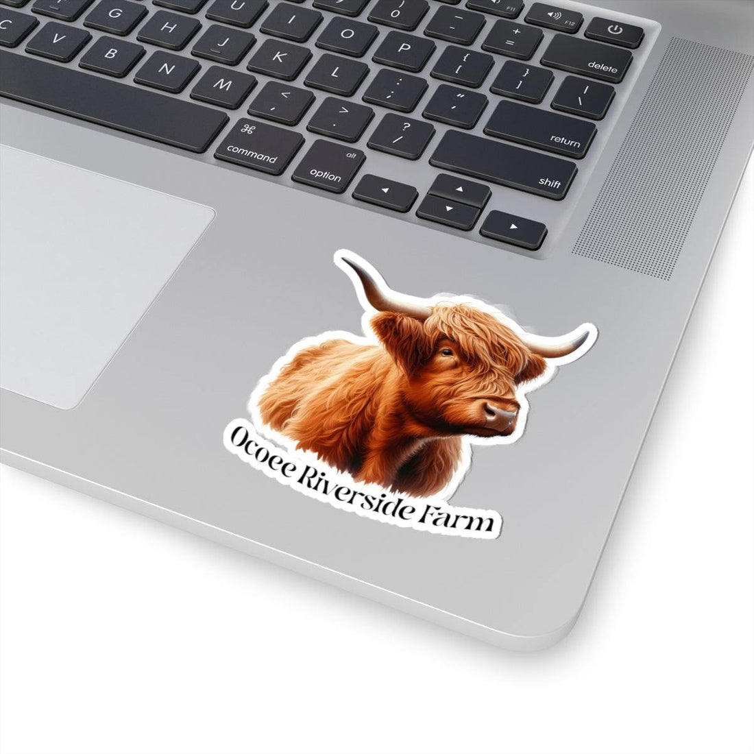 Highland Cow Stickers