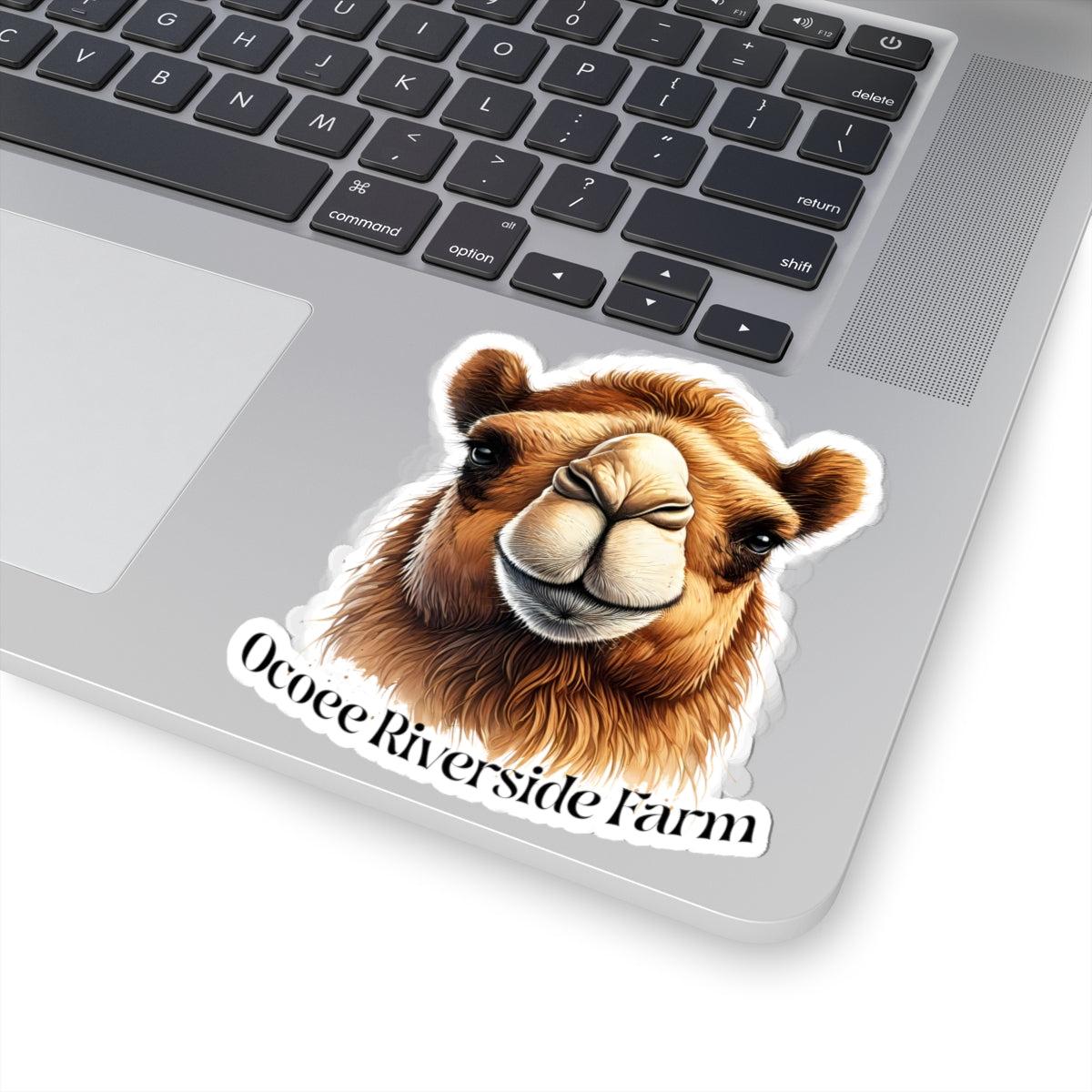 Camel Stickers