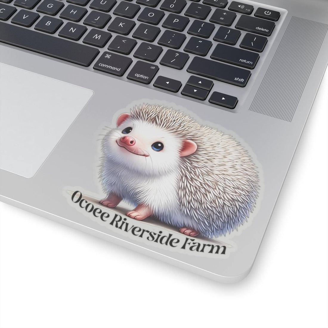 Hedgehog Stickers