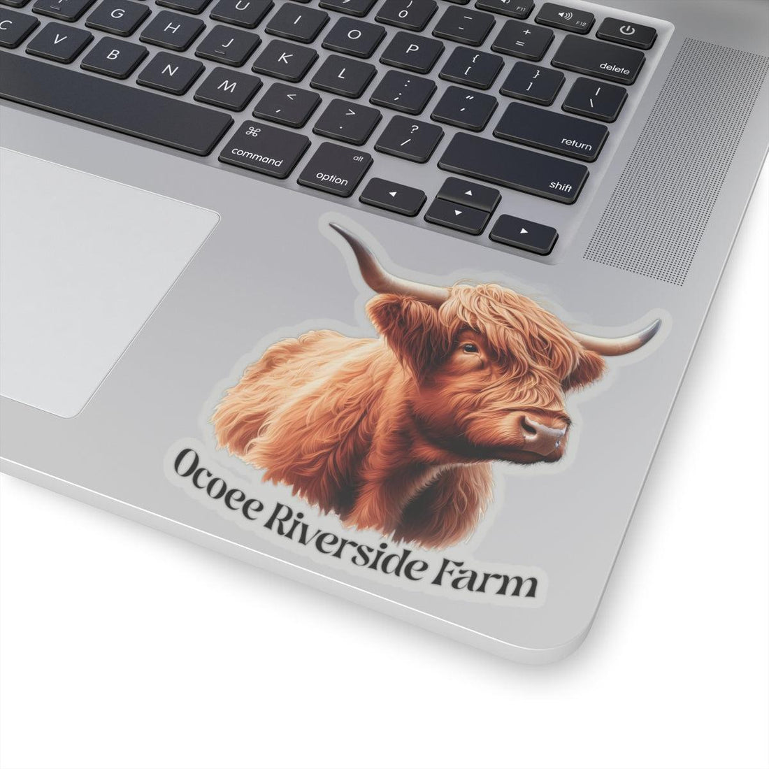 Highland Cow Stickers